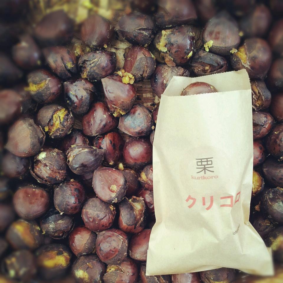 224836_550787511617391_1392715070_n