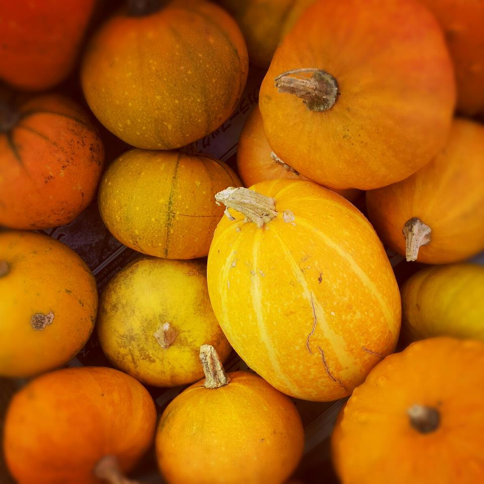 267687_524049527624523_1964713459_n 267687_524049527624523_1964713459_n