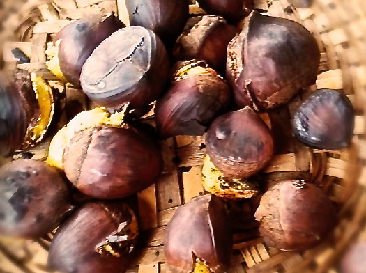 74749_542953182400824_1867027082_n 74749_542953182400824_1867027082_n