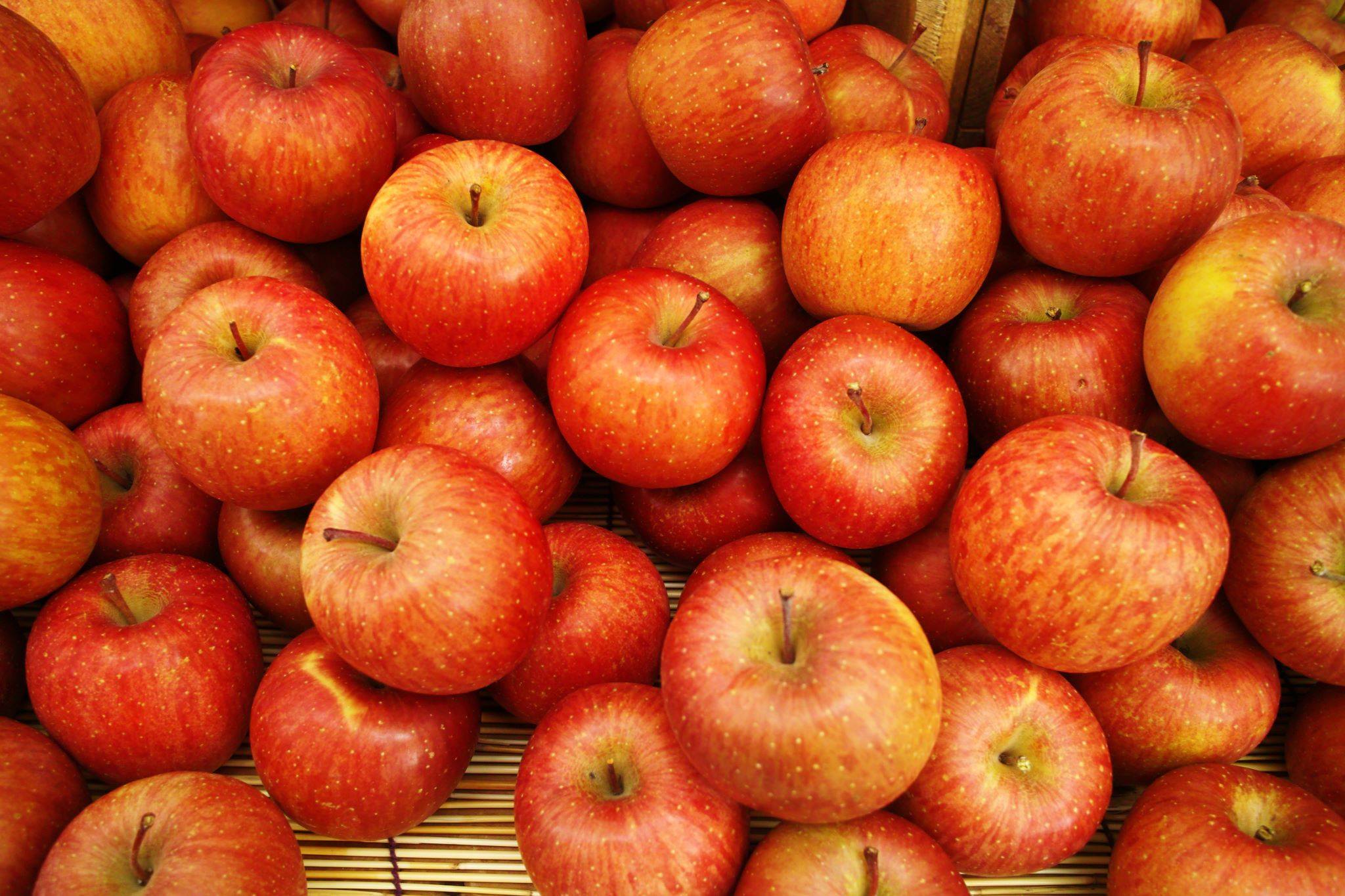 857770_702595643103243_1196472585_o 857770_702595643103243_1196472585_o