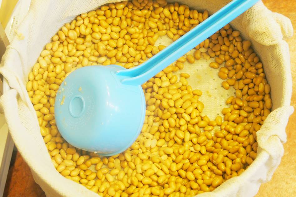 1458671_741964295833044_1128676735_n