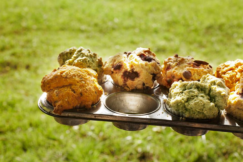 1780801_1446161088950207_163734339_n