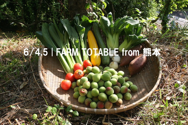 Farm to Table from 熊本 & Disco Soup