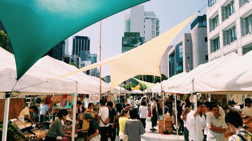 13313598_1036141229806478_1434785367_o-960x540