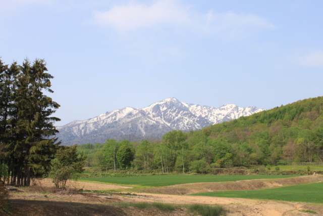 地域農産品を使用した加工品を販売。富良野市やまべ農業特産品推進協議会
