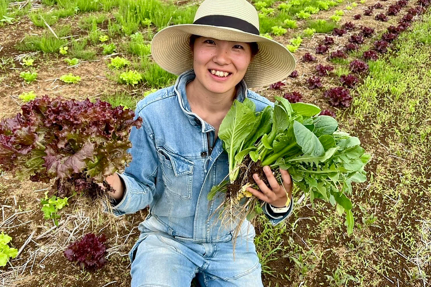 ワイルドファーム